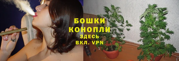 прущие крисы Верея