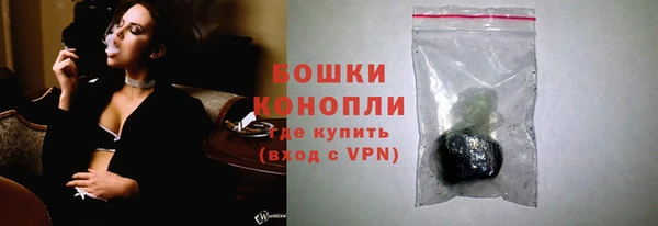гидра Володарск