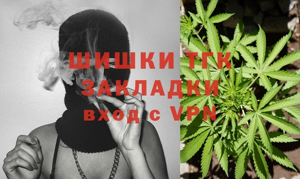 прущие крисы Верея