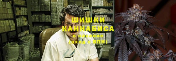 прущие крисы Верея