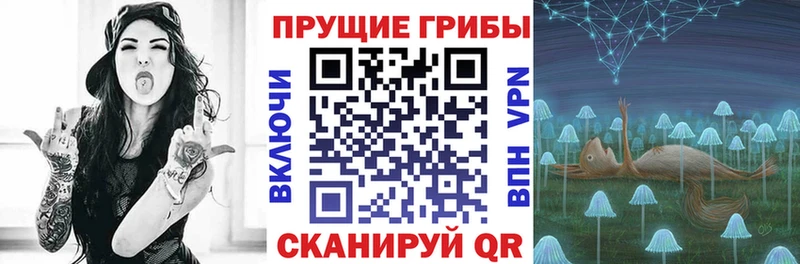 Псилоцибиновые грибы Magic Shrooms  Цоци-Юрт 